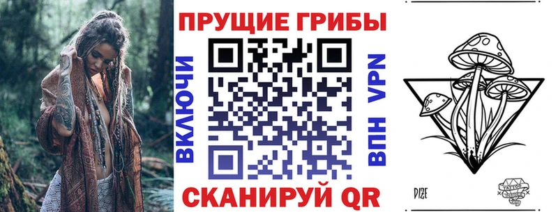 Галлюциногенные грибы прущие грибы  Купить где  Наволоки 