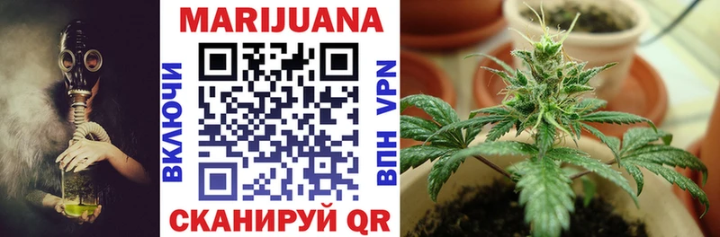 Бошки Шишки индика  Купить где  Наволоки 